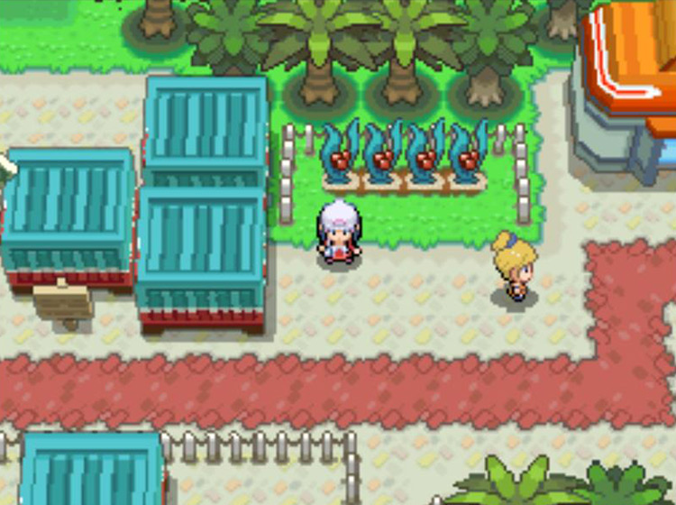 The Fight Area’s four Berry Plots / Pokémon Platinum