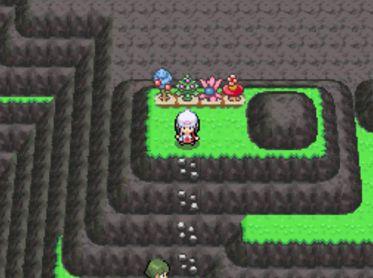 The four Berry Plots high in the mountains of Route 226 / Pokémon Platinum