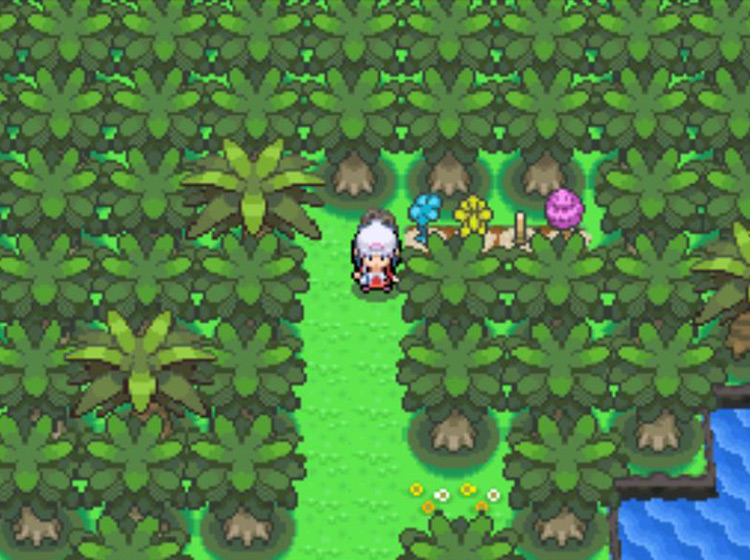The four Berry Plots on Route 230 / Pokémon Platinum