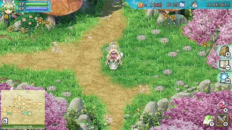 The path to Demon’s Den, with the mushrooms cleared / RF4