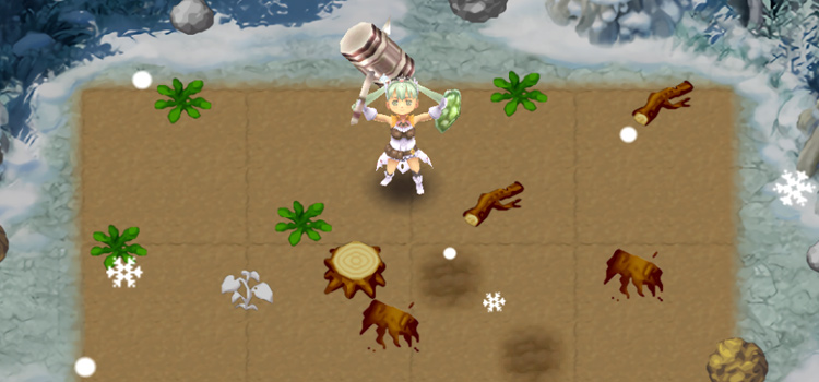 The Winter Field in Rune Factory 4 Special