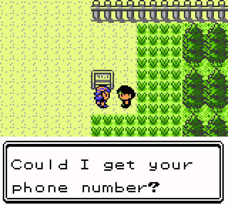 Exchanging phone numbers with Camper Todd on Route 34. / Pokémon Crystal