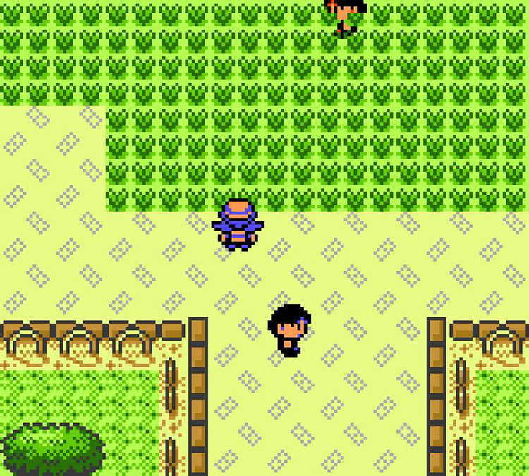 National Park during Bug Catching Contest. / Pokémon Crystal
