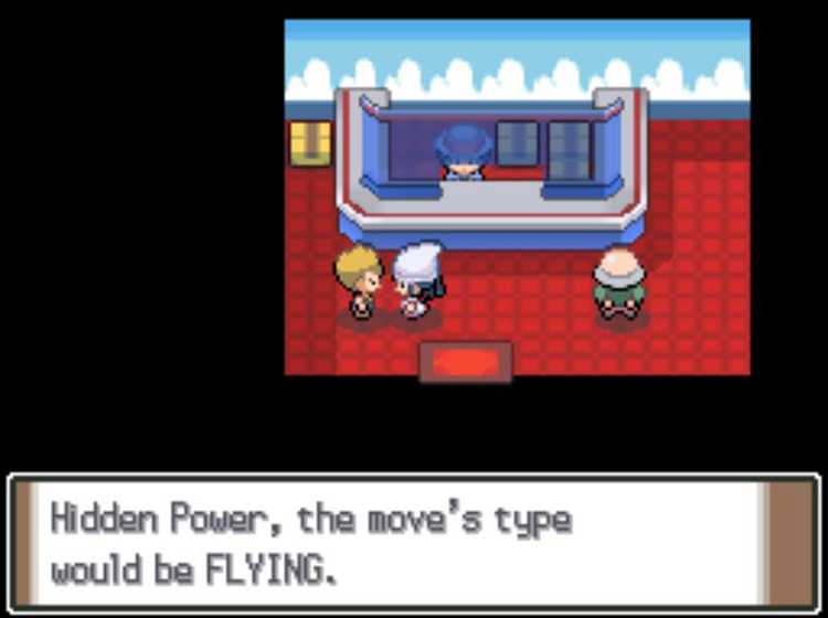 Learning that a Pokémon’s Hidden Power would be Flying type. / Pokémon Platinum