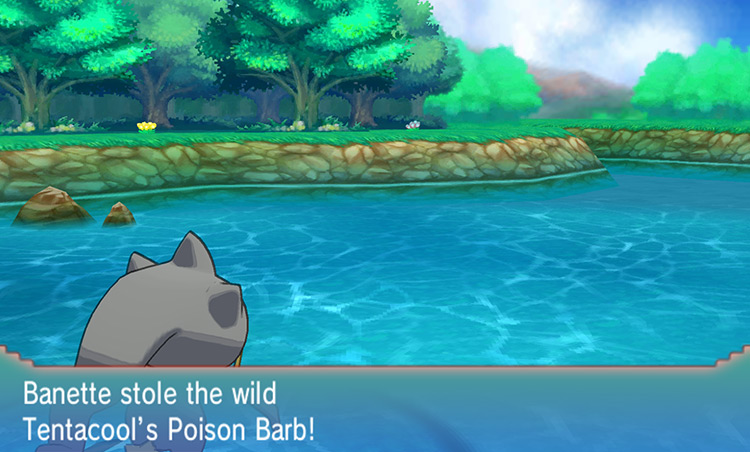 Stealing a Poison Barb from a wild Tentacool / Pokémon ORAS
