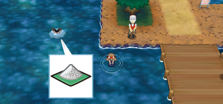 Surfing on Route 114 in Omega Ruby