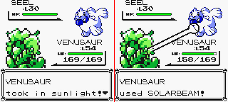 Venasaur using Solarbeam against a wild Seel. Charging on turn 1 (left) and attacking on turn 2. (right) / Pokémon Yellow