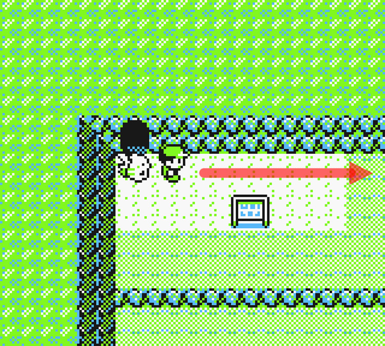 Outside the Mt. Moon exit on Route 4 / Pokémon Yellow