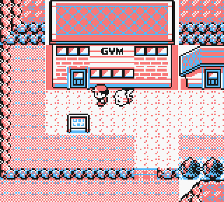 Standing in front of the Fuchsia City Pokémon Gym / Pokémon Yellow
