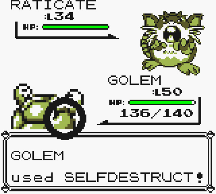 Golem using Selfdestruct against a wild Raticate / Pokémon Yellow