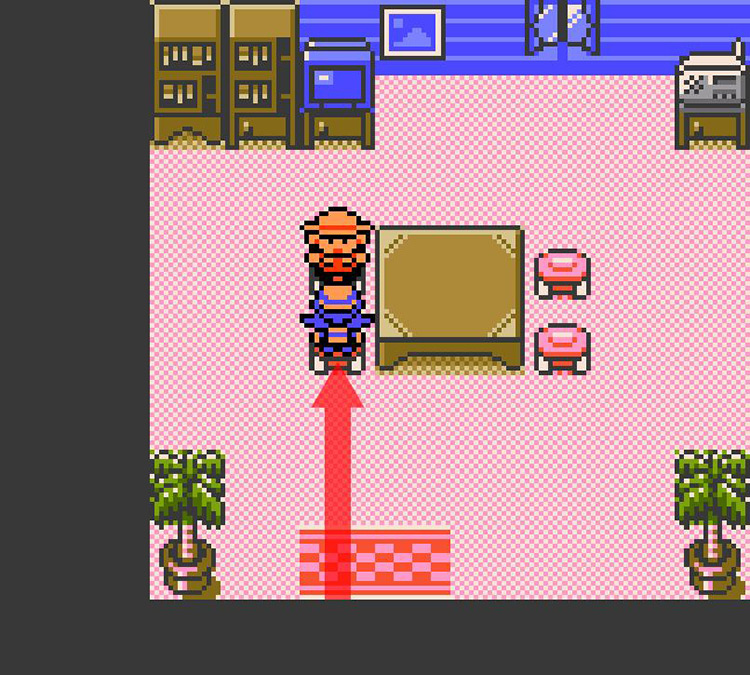 Inside the house of Volty the Voltorb’s trainer / Pokémon Crystal