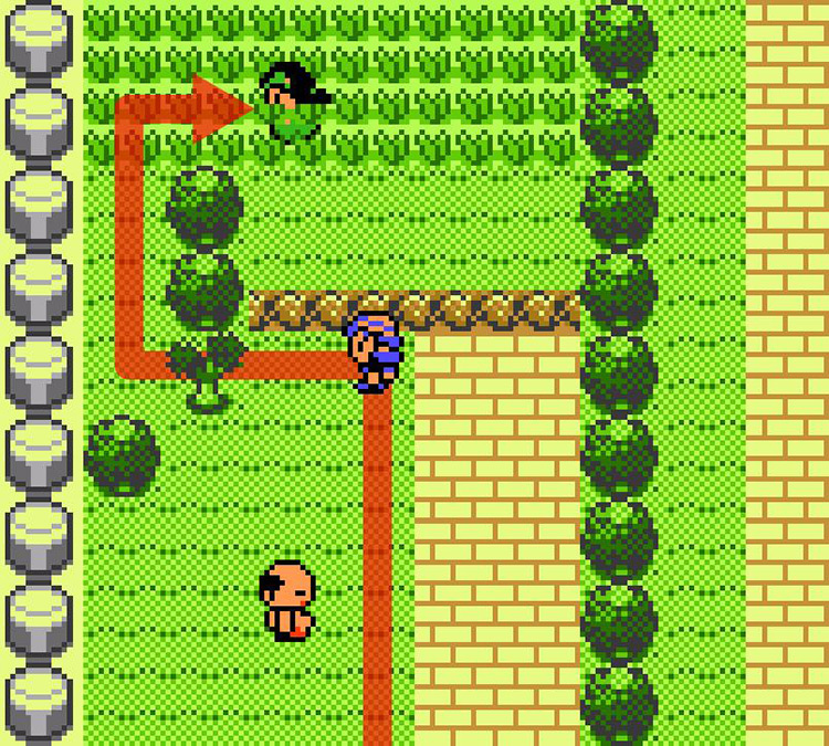 Approaching Aeroy’s trainer in a grass patch on Route 14 / Pokémon Crystal