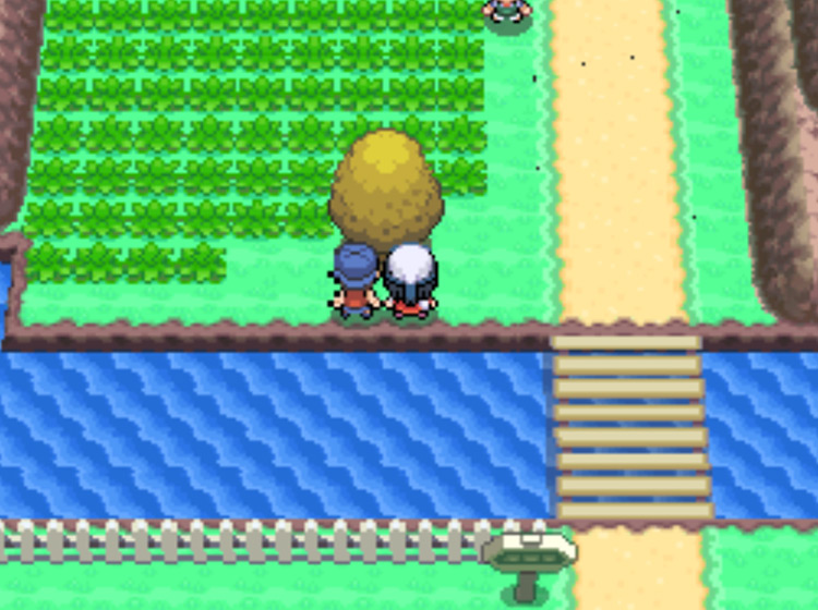 Examining the Honey Tree on the southern section of Route 205 / Pokémon Platinum