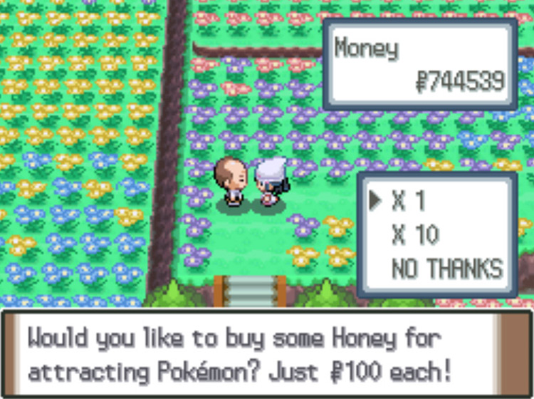Buying Honey from the Honey Man in the Floaroma Meadow / Pokémon Platinum