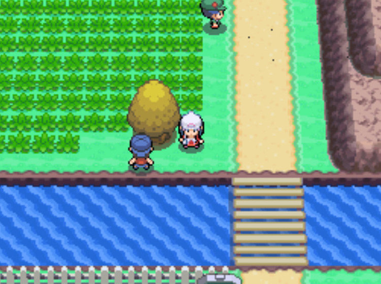The Honey Tree on Route 205, across the bridge by the Valley Windworks / Pokémon Platinum