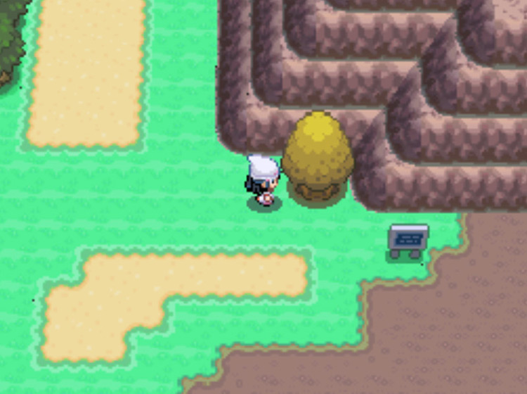 The Honey Tree at the three-way intersection of Route 207 / Pokémon Platinum