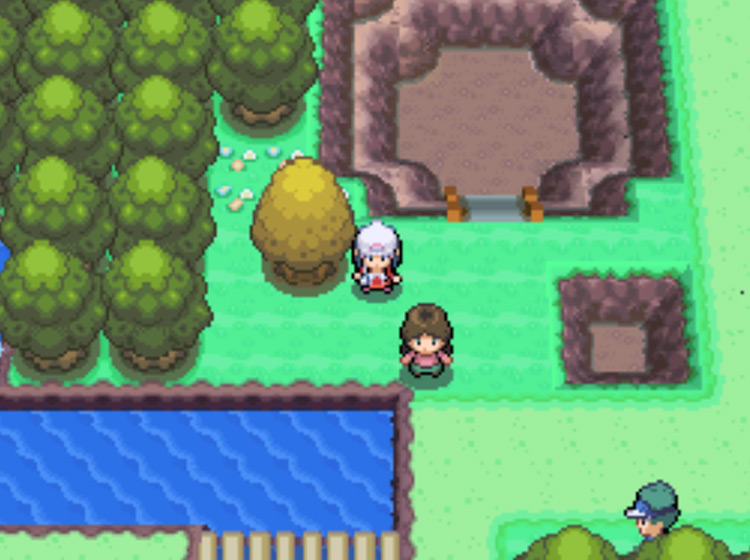 The Honey Tree on Route 209, south of Solaceon Town / Pokémon Platinum