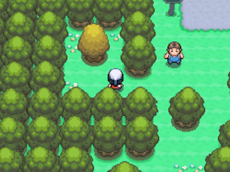 The Honey Tree at the northern end of Route 212 / Pokémon Platinum