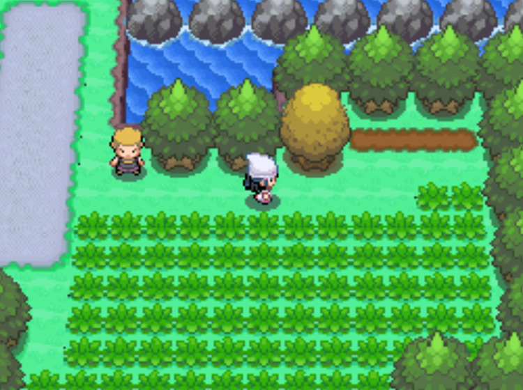 The Honey Tree by the Berry Plots on Route 218 / Pokémon Platinum