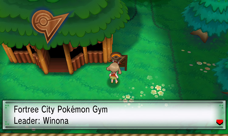 Outside the Fortree City Gym / Pokémon ORAS