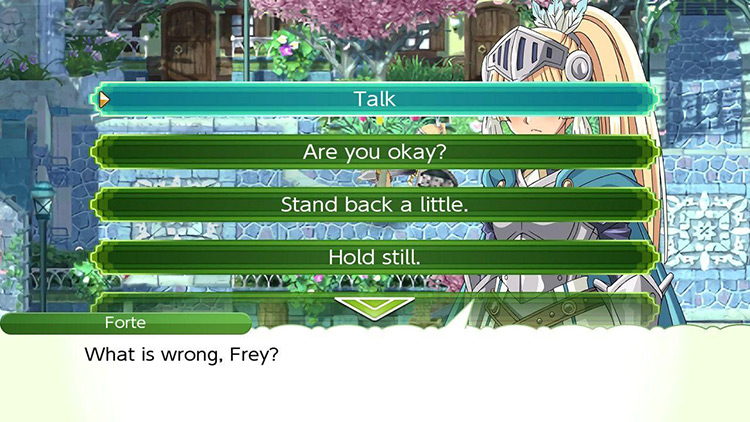 Party member options / Rune Factory 4