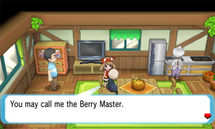 Inside the Berry Master’s house / Pokémon Omega Ruby and Alpha Sapphire