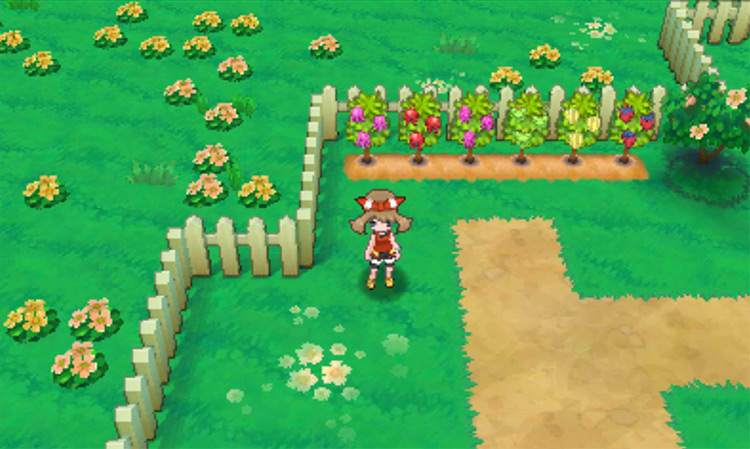 The Berry Master’s garden / Pokémon Omega Ruby and Alpha Sapphire