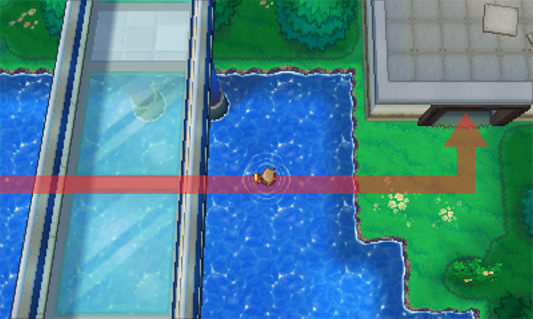 The entrance to New Mauville is up ahead / Pokémon Omega Ruby and Alpha Sapphire