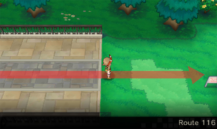 The entrance to Route 116 / Pokémon Omega Ruby and Alpha Sapphire