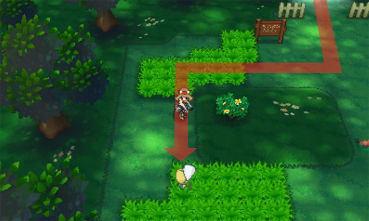 Inside Petalburg Woods / Pokémon Omega Ruby and Alpha Sapphire
