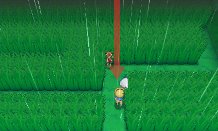Emerging from the tall grass on Route 120 / Pokémon Omega Ruby and Alpha Sapphire