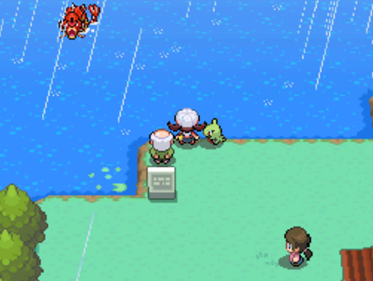 EXP. Share - [Pokémon HeartGold/SoulSilver] New Bark Town, Rou