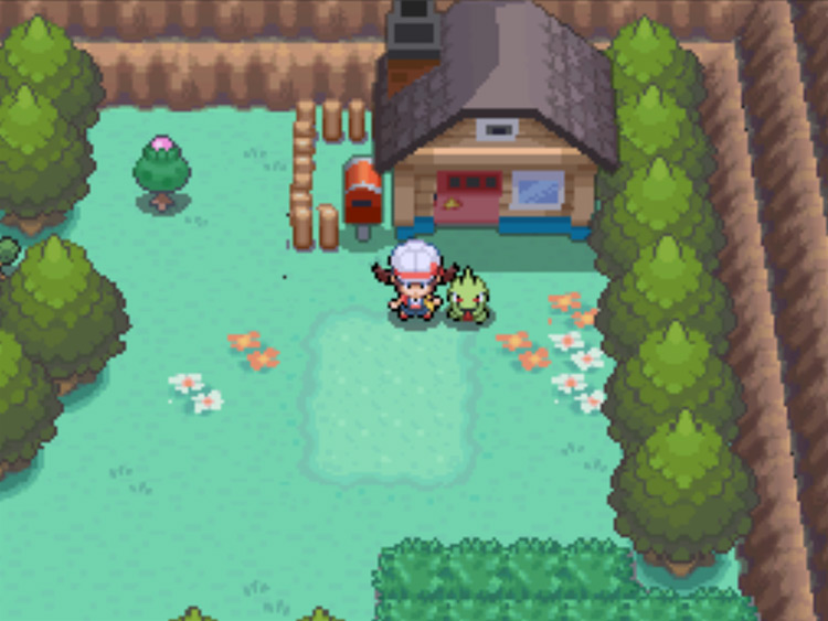 Mr. Pokémon’s house on Route 30 / Pokémon HG/SS