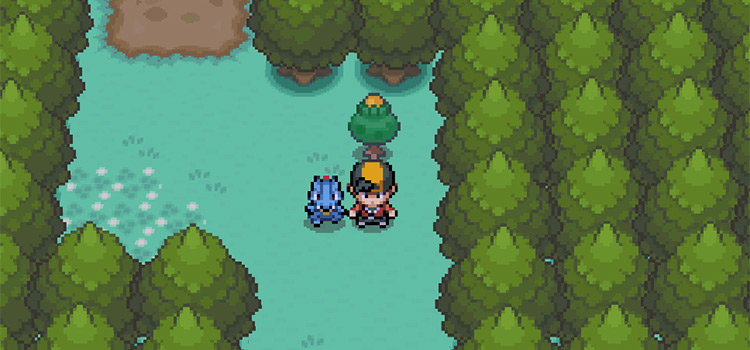 Next to an Apricorn Tree in Pokémon HeartGold