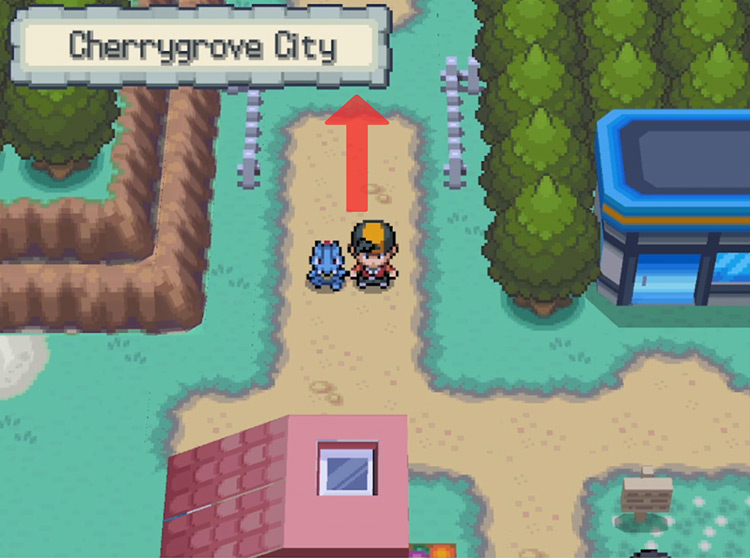 Head north from Cherrygrove City. / Pokémon HeartGold and SoulSilver