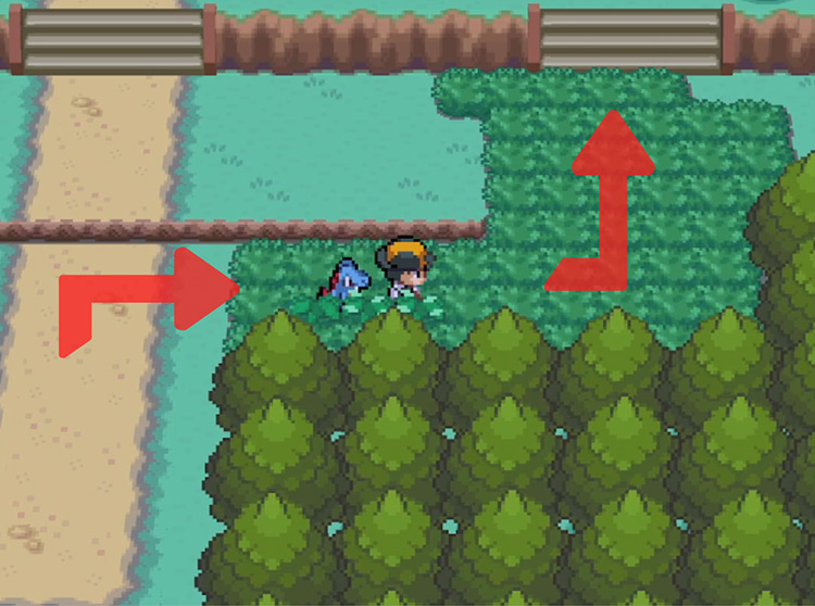 The tall grass and stairs just before the Apricorn Box man’s house on Route 30. / Pokémon HeartGold and SoulSilver