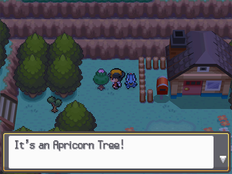A Pink Apricorn can be used to create a Love Ball. / Pokémon HeartGold and SoulSilver