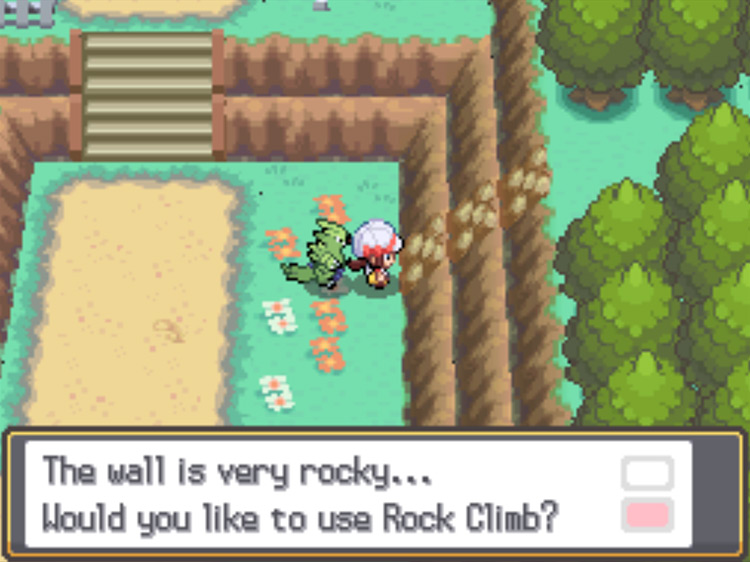 The first rock Climb Spot on Route 39 / Pokémon HeartGold and SoulSilver