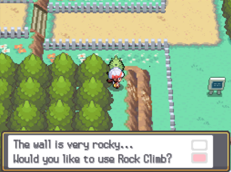 The second Rock Climb spot on Route 38 / Pokémon HeartGold and SoulSilver