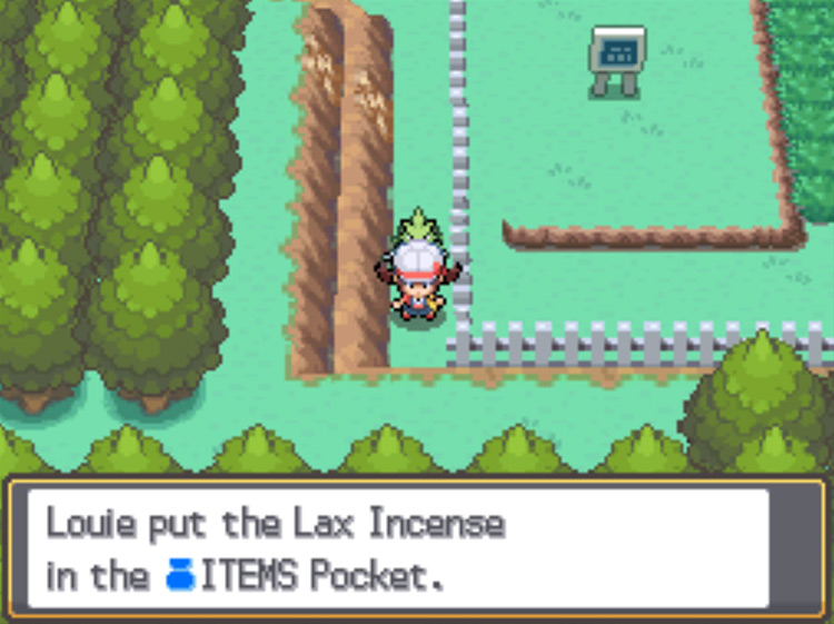 The location of the Lax Incense on Route 38 / Pokémon HeartGold and SoulSilver