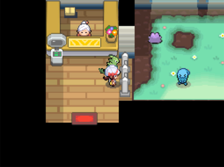 A Wobbuffet in the Pokémon Day Care with a Ditto / Pokémon HeartGold and SoulSilver