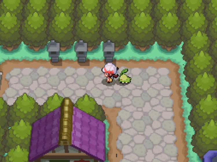 The west exit of Violet City onto Route 36 / Pokémon HeartGold and SoulSilver