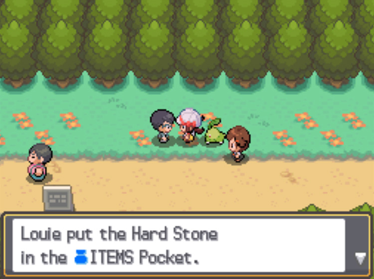 The player receiving a Hard Stone from Arthur on Route 36 on a Thursday / Pokémon HeartGold and SoulSilver