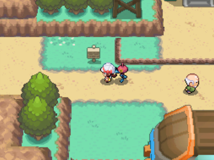 The west exit of Mahogany Town leading onto Route 42 / Pokémon HeartGold and SoulSilver