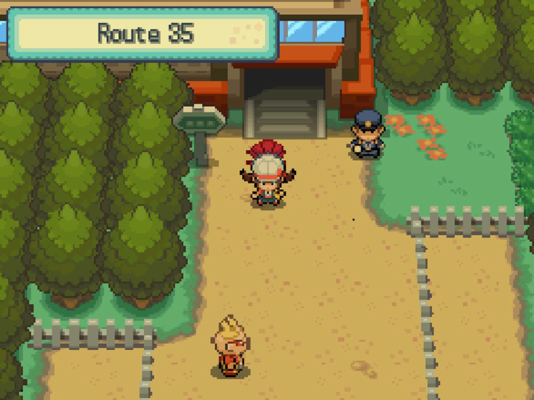 On Route 35, standing in front of the entrance to the National Park / Pokemon HGSS