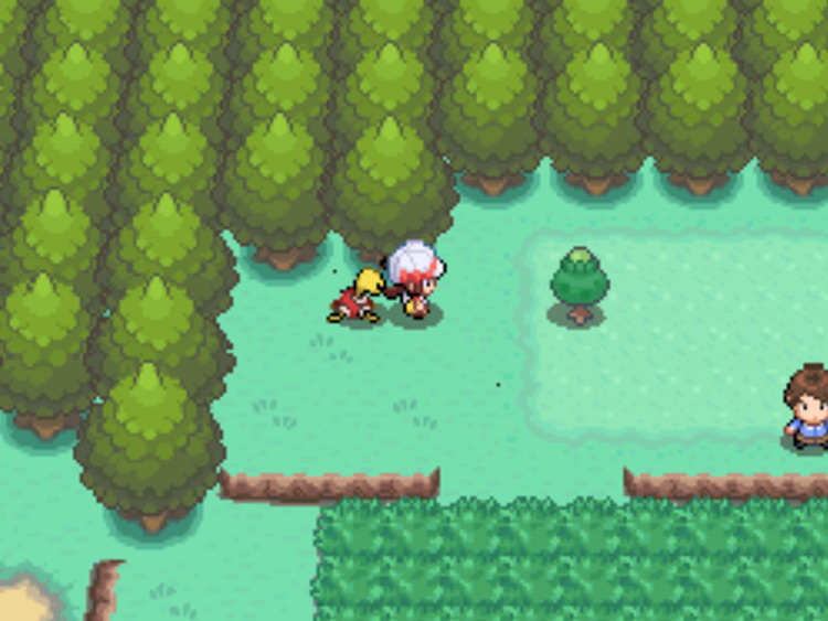 The location of the Green Apricorn tree on Route 29 / Pokémon HGSS