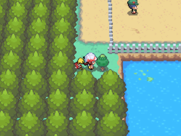 The location of the Green Apricorn tree on Route 35 / Pokémon HGSS