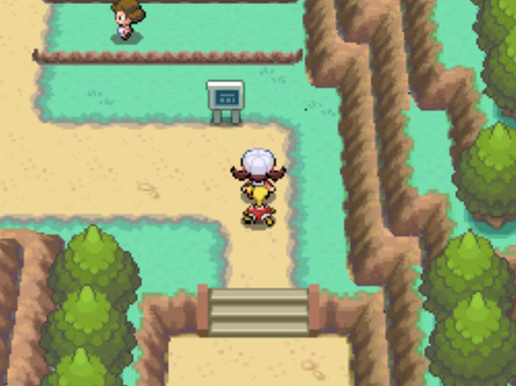 Route 39, as seen from Olivine City's north exit / Pokémon HGSS