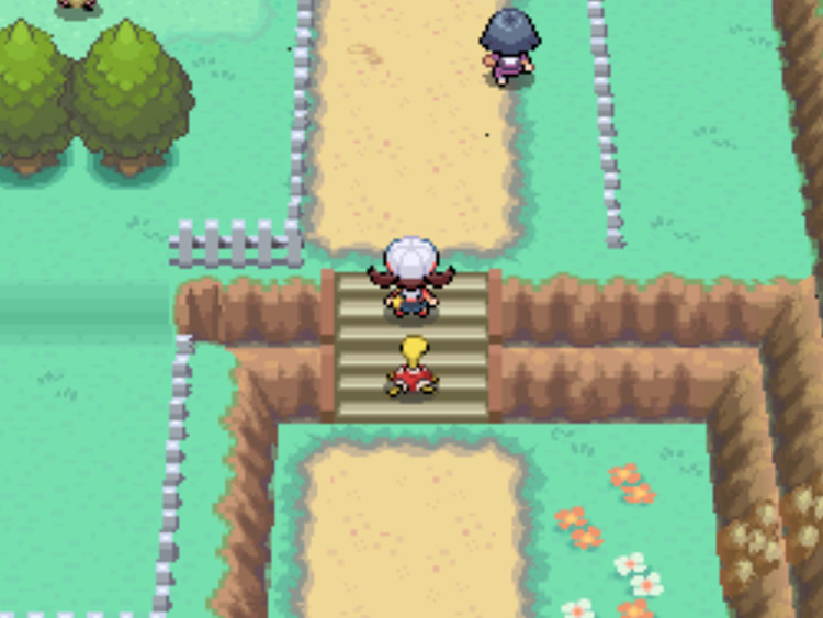 The steps on Route 39 / Pokémon HGSS