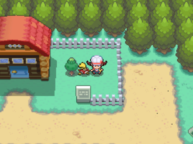 The location of the Green Apricorn tree on Route 39 / Pokémon HGSS